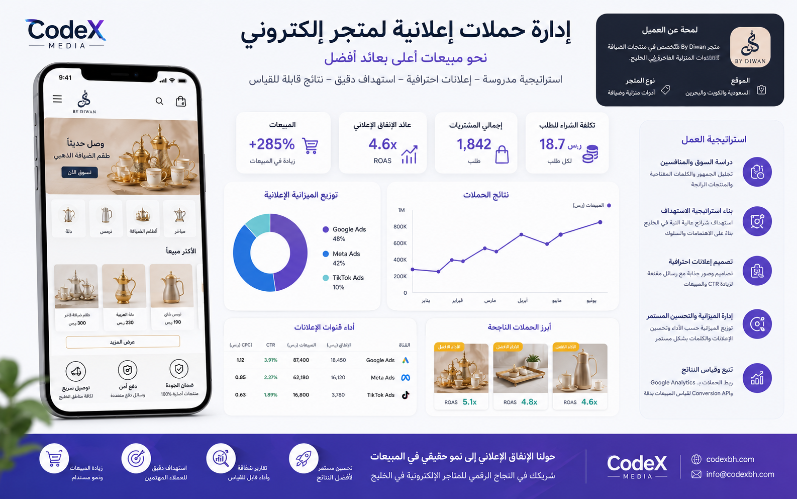 إدارة حملات إعلانية لمتجر إلكتروني